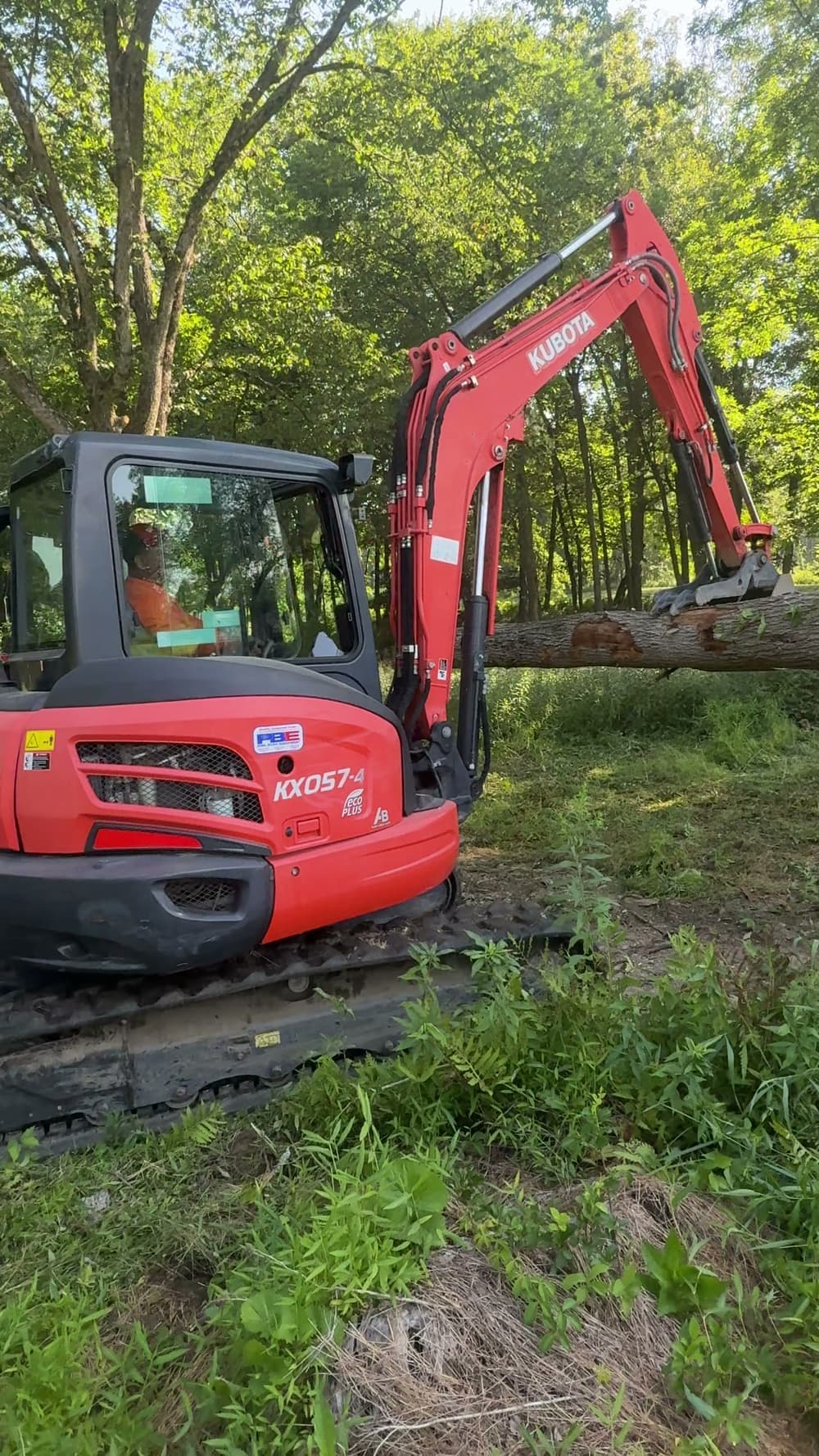A Kubota KX057-4 excavator working in overgrown brush and small trees on a wooded property